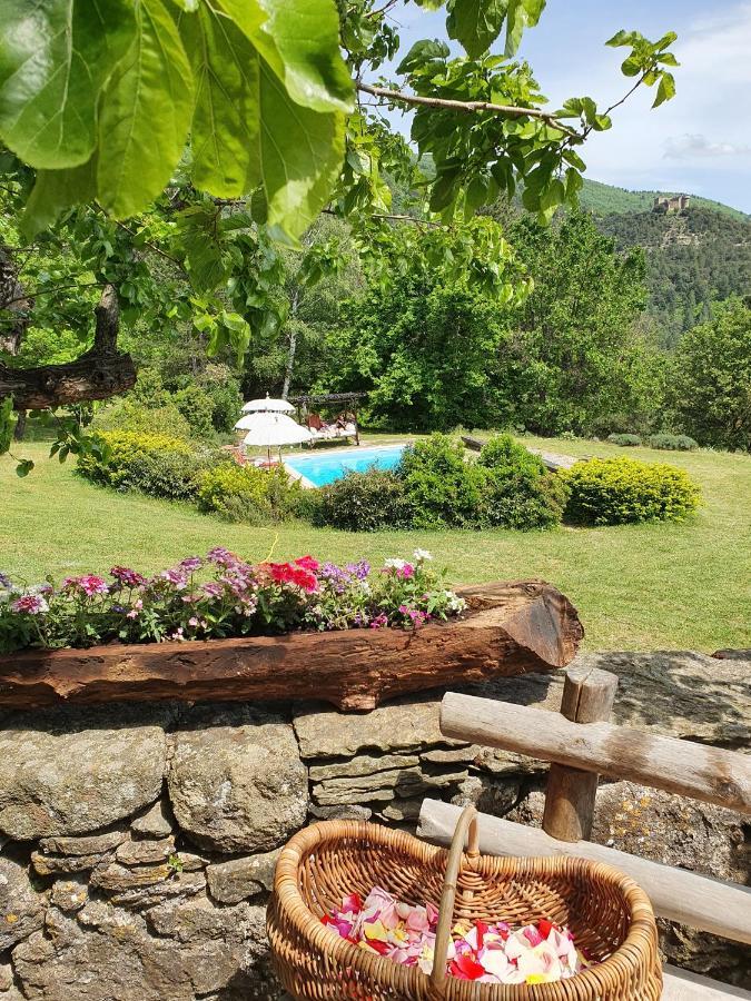 Aujac  Mas Des Terrasses 빌라 외부 사진